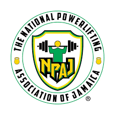 NPAJ Logo